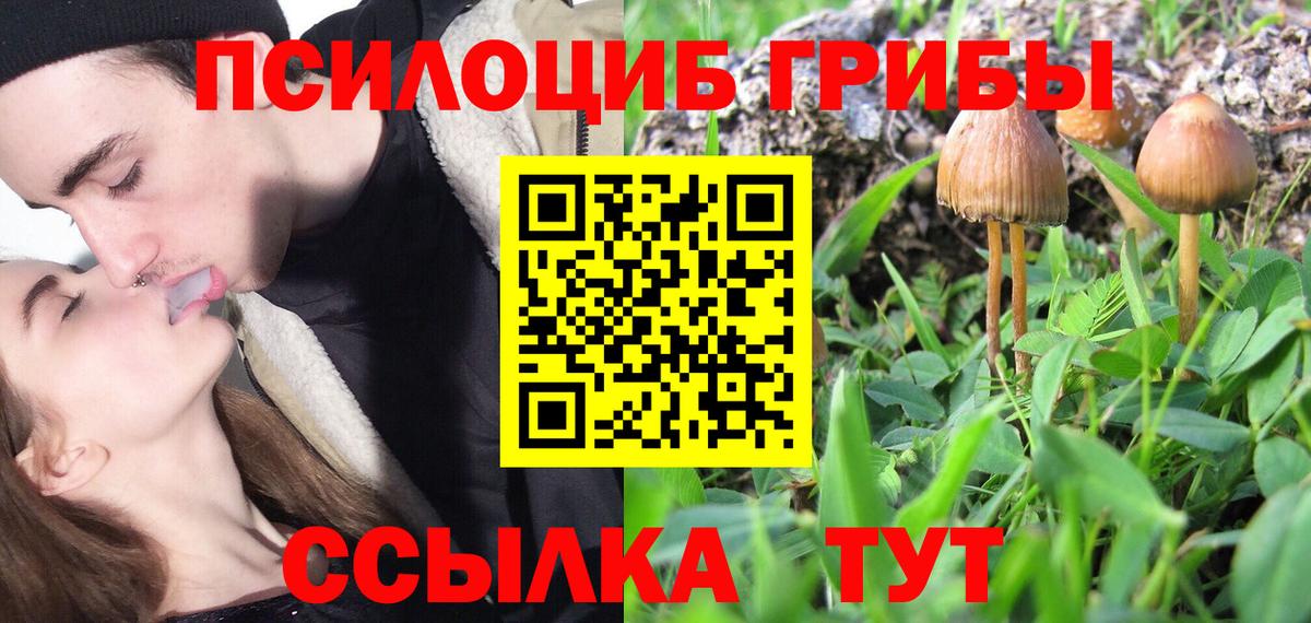 Галлюциногенные грибы прущие грибы  Вход с VPN  Кропоткин 