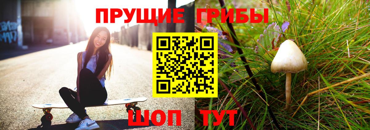 Псилоцибиновые грибы Cubensis Кропоткин